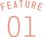 FEATURE 01